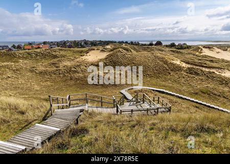 The path through the dune landscape Stock Photo