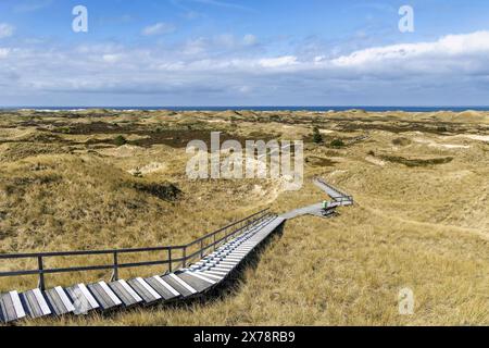 Plank path through the dune landscape Stock Photo