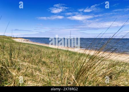 noth sea beach Stock Photo