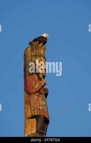 Bald eagle sitting on top of totem pole at Totem Bight State Park; Ketchikan, Alaska. Stock Photo