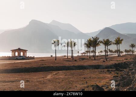 Palm trees and coastal mountains at Mughsail Beach, Oman, bathed in soft evening light along a quiet, arid shoreline Stock Photo