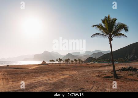 Mughsail Beach in Oman at sunset, with palm trees, rugged mountains, and a wide desert shoreline glowing in warm light Stock Photo