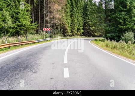Empty asphalt street road in the mountains through the pine forest in Romania. Stock Photo