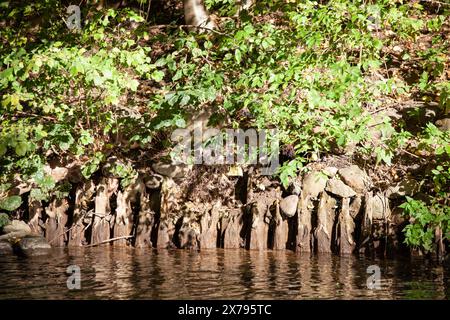 Summer landscape with a small river. River flowing and green bushes on the bank. Horizontal. Stock Photo