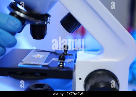Scientist examining crushed pill under microscope in laboratory, closeup Stock Photo