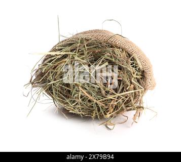 Dried hay in burlap sack isolated on white Stock Photo