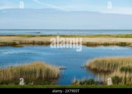 Lagoon and beach, Wadden Sea, Schillig, Wangerland, East Frisia, Lower Saxony, Germany Stock Photo