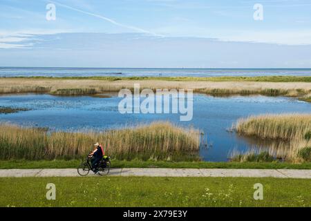 Lagoon and beach, Wadden Sea, Schillig, Wangerland, East Frisia, Lower Saxony, Germany Stock Photo
