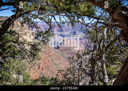 Dramatic framed view of the Grand Canyon  from Bright Angel trailhead, Grand Canyon National Park, Arizona, USA on 30 April 2024 Stock Photo