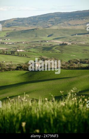 The beautiful landscape of Val D'Orcia near Pienza in rural Tuscany in Italy, with the Podere Belvedere farmhouse at golden hour before sunset. Stock Photo