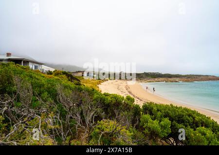 Holiday homes on foredunes, Picnic Beach, Rocky Cape, Tasmania Stock Photo