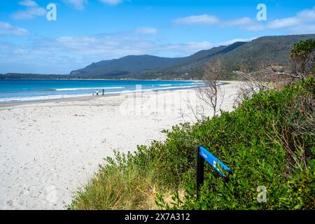 White sandy beach with blue water, Eaglehawk Neck, Tasmania Stock Photo