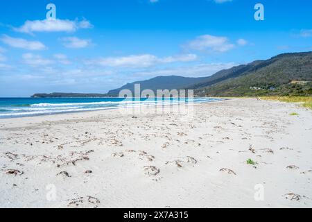 White sandy beach with blue water, Eaglehawk Neck, Tasmania Stock Photo