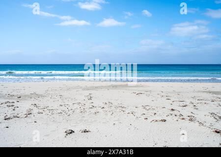 White sandy beach with blue water, Eaglehawk Neck, Tasmania Stock Photo