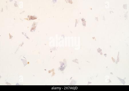 Paper white background from Japanese hand made pastel craft grey white mulberry flower textured. Stock Photo