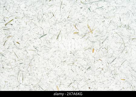 White handmade japanese paper texture as background Stock Photo