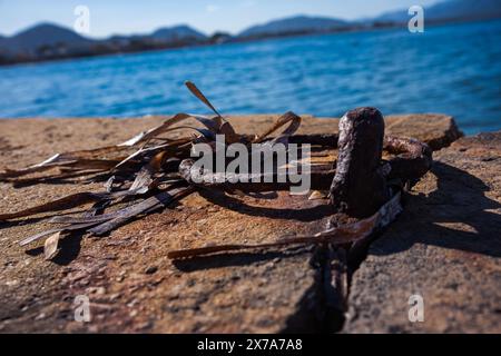 A rusty metal mooring ring has left rusty marks on the concrete in which it is embedded. Remains of dried seaweed hang on the metal. Sea pier, summer, Stock Photo