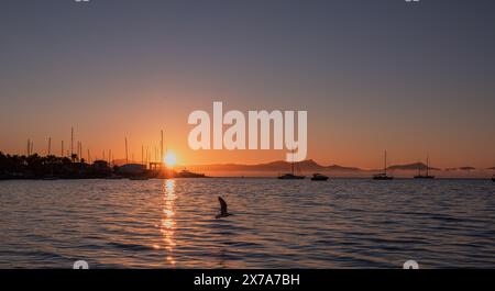 Sea harbor at dawn. The sky, painted golden by the rising sun, is reflected in the calm ripples of the sea. The yachts stand out in beautiful silhouet Stock Photo