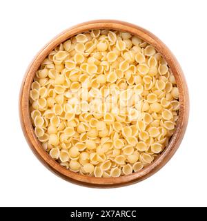 Perline or conchiglie, pastina variety and Italian soup pasta in a wooden bowl. Tiny, round, shell shaped, uncooked durum wheat semolina minute pasta. Stock Photo