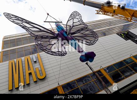 Prague, Czech Republic. 19th May, 2024. Installation of artworks on the facade of renovated Maj department store on 19 May 2024, Prague, Czech Republic. The author of two several-metre-long moving sculptures of butterflies, whose fuselages are imitations of spitfire fighters, is Czech artist David Cerny. They are to become a tribute to Czechoslovak pilots who fought in the Second World War. The civic association Klub za starou Prahu (Club for Old Prague) disagrees with the placement, saying it is typical kitsch. Credit: Katerina Sulova/CTK Photo/Alamy Live News Stock Photo