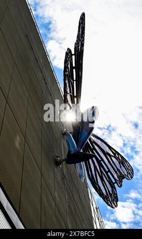 Prague, Czech Republic. 19th May, 2024. Installation of artworks on the facade of renovated Maj department store on 19 May 2024, Prague, Czech Republic. The author of two several-metre-long moving sculptures of butterflies, whose fuselages are imitations of spitfire fighters, is Czech artist David Cerny. They are to become a tribute to Czechoslovak pilots who fought in the Second World War. The civic association Klub za starou Prahu (Club for Old Prague) disagrees with the placement, saying it is typical kitsch. Credit: Katerina Sulova/CTK Photo/Alamy Live News Stock Photo