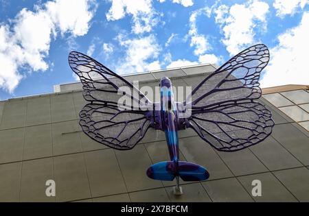 Prague, Czech Republic. 19th May, 2024. Installation of artworks on the facade of renovated Maj department store on 19 May 2024, Prague, Czech Republic. The author of two several-metre-long moving sculptures of butterflies, whose fuselages are imitations of spitfire fighters, is Czech artist David Cerny. They are to become a tribute to Czechoslovak pilots who fought in the Second World War. The civic association Klub za starou Prahu (Club for Old Prague) disagrees with the placement, saying it is typical kitsch. Credit: Katerina Sulova/CTK Photo/Alamy Live News Stock Photo