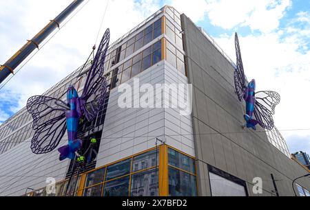 Prague, Czech Republic. 19th May, 2024. Installation of artworks on the facade of renovated Maj department store on 19 May 2024, Prague, Czech Republic. The author of two several-metre-long moving sculptures of butterflies, whose fuselages are imitations of spitfire fighters, is Czech artist David Cerny. They are to become a tribute to Czechoslovak pilots who fought in the Second World War. The civic association Klub za starou Prahu (Club for Old Prague) disagrees with the placement, saying it is typical kitsch. Credit: Katerina Sulova/CTK Photo/Alamy Live News Stock Photo