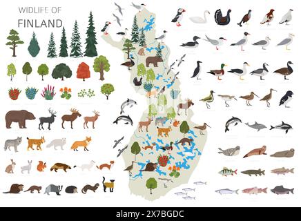 Flat design of Finland wildlife. Animals, birds and plants constructor elements isolated on white set. Build your own geography infographics collectio Stock Vector