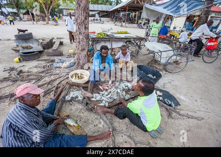 Tanzania, Zanzibar, Ras Nungwi, Local fishermen Stock Photo