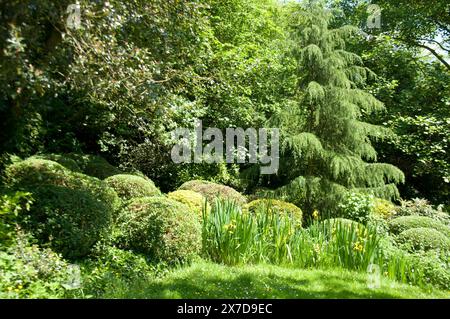 Waterlow Park, Highgate, London, UK - grass; trees; sunshine; bushes; lawns Stock Photo