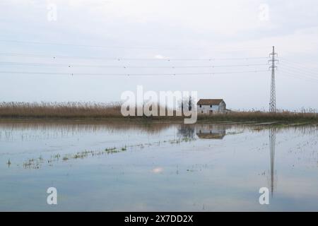 View of an abandoned house next to a rice field in Valencia. Valencia - Spain Stock Photo