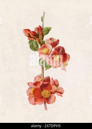 Beautiful Blooming Flowers Illustration. Digital Watercolor With 