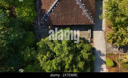 Aerial view of Mekong Delta, Ben Tre tourist with large ancient tree, Apricot or Bach Mai flower, a heritage tree and old house at Phu Tu temple, a tr Stock Photo