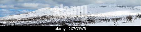 High resolution panorama of the snow covered mountains and the tree line in Sonfjället National Park, Sweden, during spring in April 2024. Stock Photo