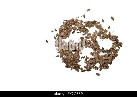 For cooking, spice. Dill seeds. Georgian cuisine. Stock Photo