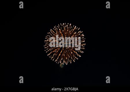 Golden firework burst against a dark night sky. Stock Photo