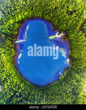 Aerial top down amazing lake of round shape. Cloudy sky reflected in clear turquoise water of pond surrounded by trees and plants. Ripple on water sur Stock Photo