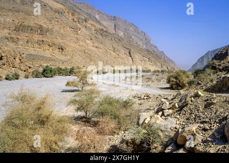 Wadi Bani Kharus, Oman, Arabian Peninsula, Middle East.  One of the many dry water courses leading into the mountains of interior Oman. Stock Photo