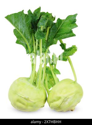 kohlabi isolated on white background. kohlabi clipping path Stock Photo