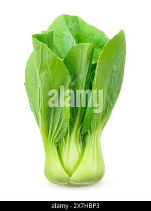 bok choy isolated on white background. bok choy clipping path Stock Photo