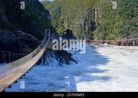 Tsitsikamma National Park, Garden Route National Park, Eastern Cape, South Africa Stock Photo