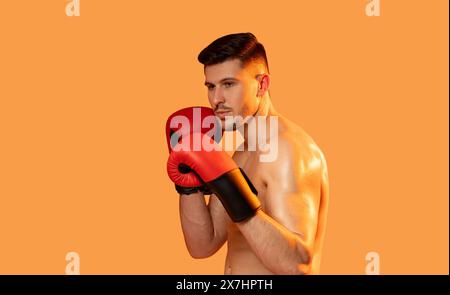 Man in Boxing Gloves Poses on Orange Background Stock Photo