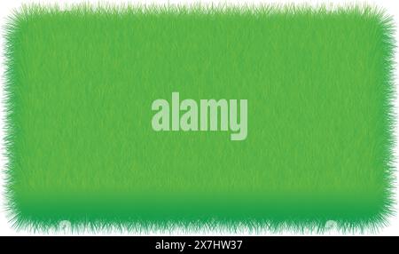 Green Grass texture, Green background, Green grass banners Stock Vector