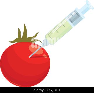 Vector graphic depicts a syringe injecting liquid into a bright red tomato, symbolizing gmo Stock Vector