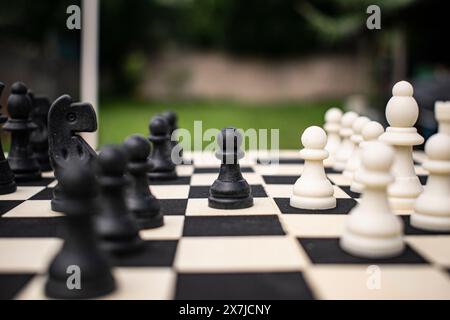Rustic chess set, the board is made of wood and the pieces are made of recycled plastic. The chessboard is outside in the spring and summer garden. Stock Photo