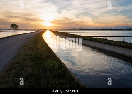 Sunset over the Ebro right canal next to rice plantations, Spain Stock Photo