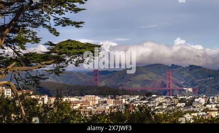 The Golden Gate Bridge and the panoramic view is from Buena Vista Park in San Francisco, CA. Stock Photo