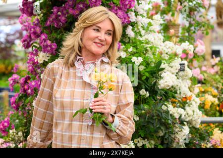 London, UK. 20 May 2024. Anthea Turner supporting the RNLI in the Peter Beales Roses garden during the press day of the RHS Chelsea Flower Show, at the Royal Hospital Chelsea in London. Photo credit should read: Matt Crossick/Empics/Alamy Live News Stock Photo