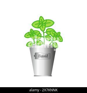 Basil herb in silver metallic pot. Isolated on white background. Stock Vector