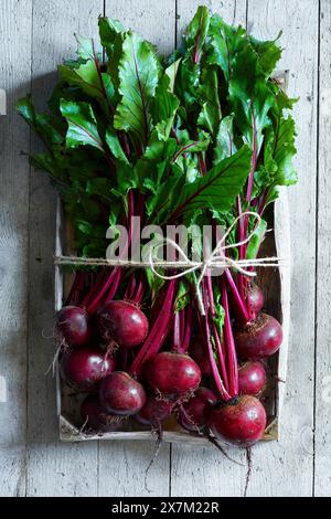 A Market box full of fresh beetroot on a gray wooden backround Stock Photo